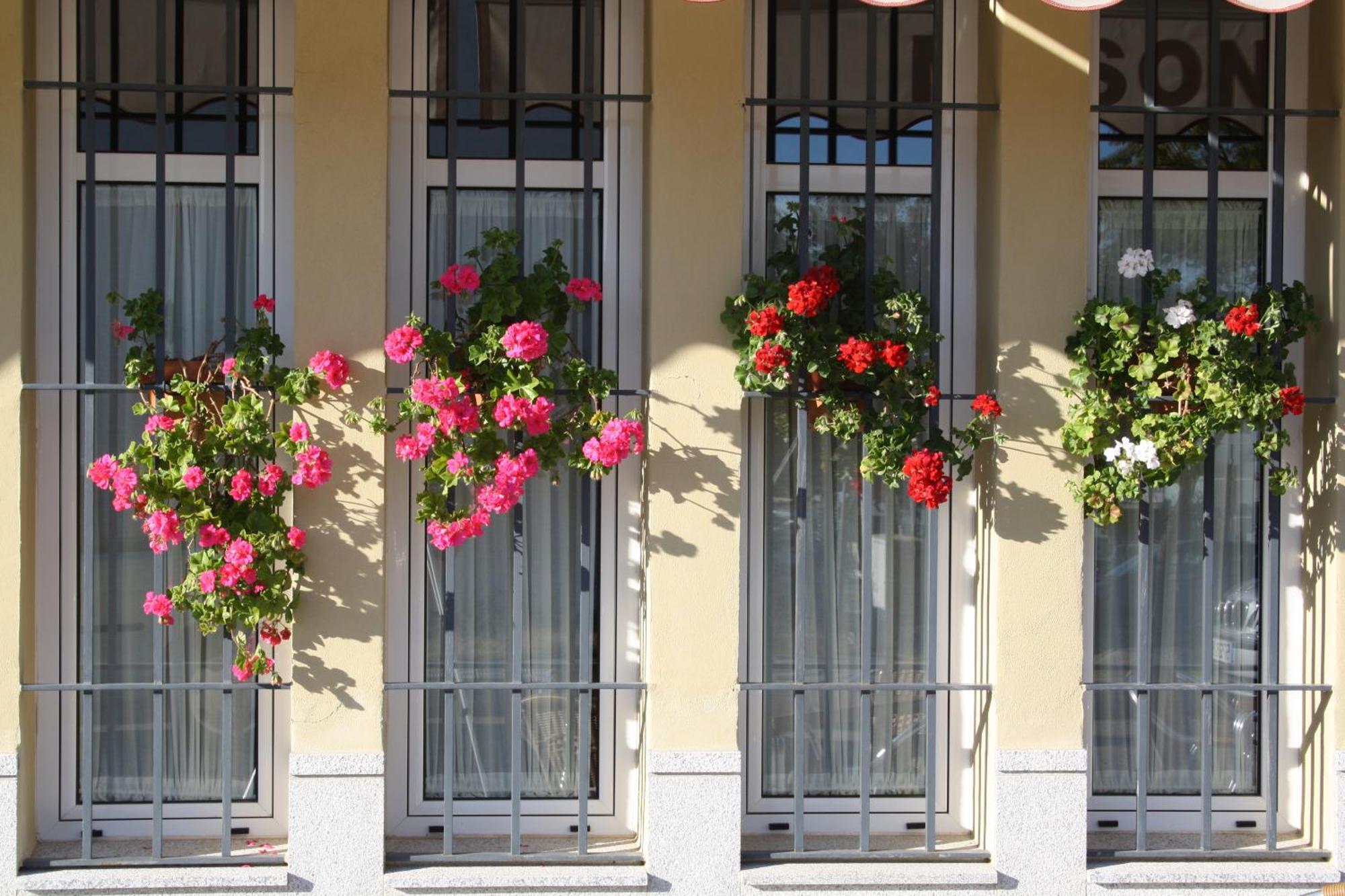 Hotel Lince Aznalcazar Exterior photo